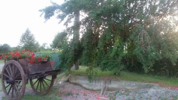 Agriturismo Sant'Antonio Villa Urgnano Екстериор снимка